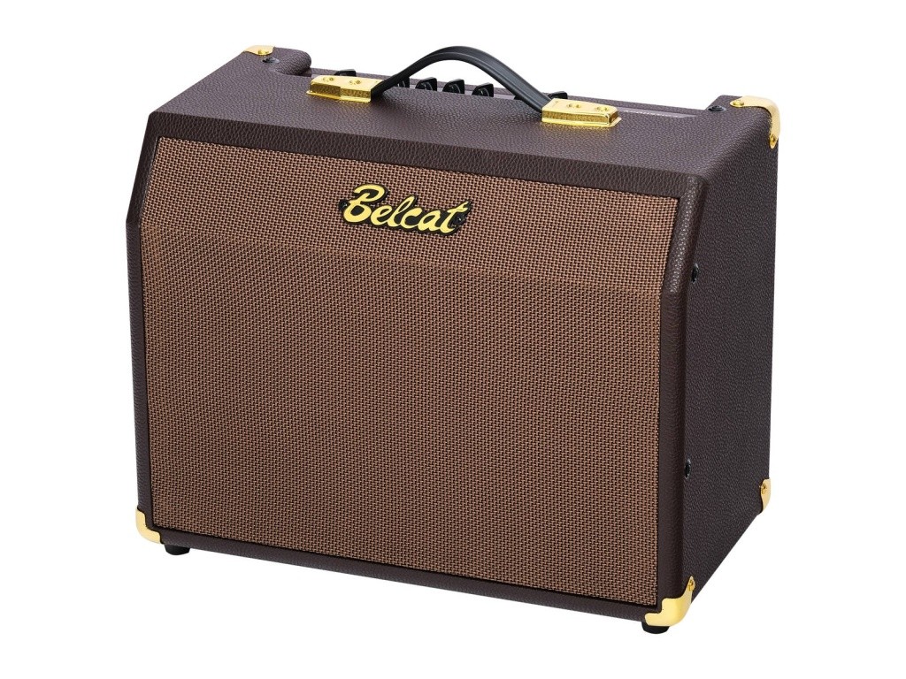 Детальная картинка товара Belcat Acoustic-25RC в магазине Музыкальная Тема